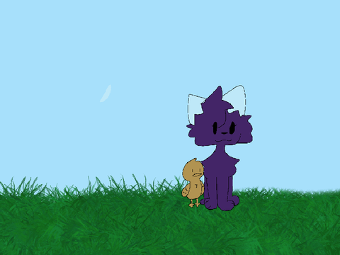Part 13 FIN