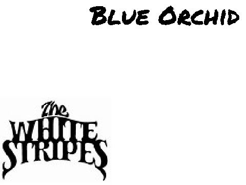 The White Stripes- Blue Orchid