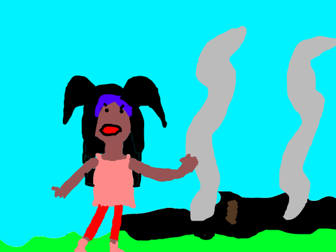 Hey you blew up my house with fireworks!