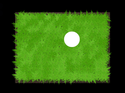 Grass