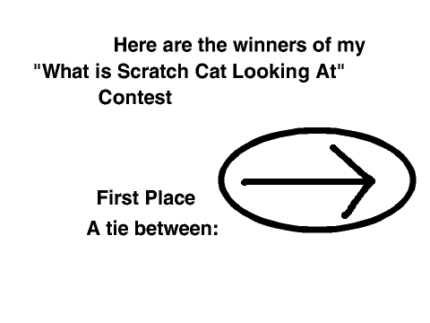 Winners of the What is Scratch Cat looking at Contest
