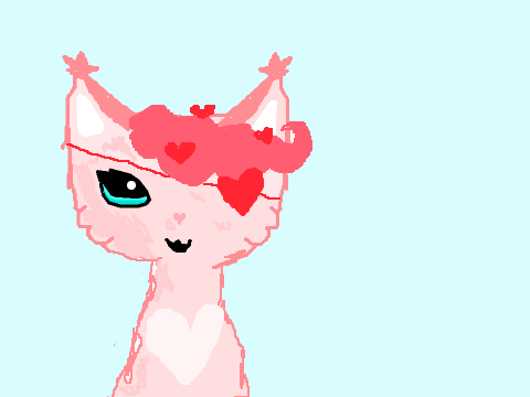 The Heart Pirate DT