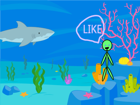 sharks