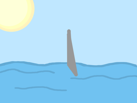 Shark Fin