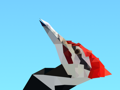 My entry