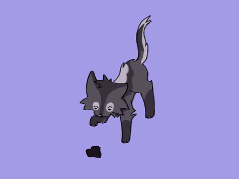The Cowardly Knight-Coalkit Application