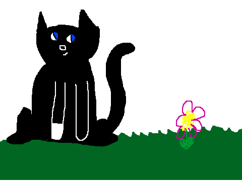 Kitty-pet love