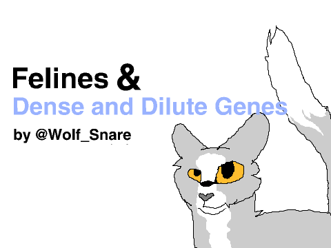 Lesson 2. Felines & Dense and Dilute Genes