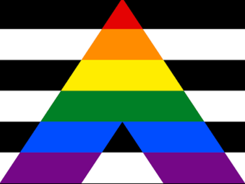 Oc flags/pride month 