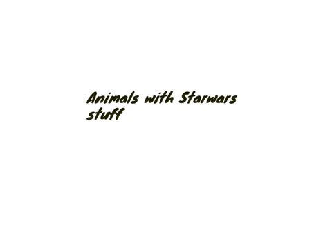 Star Wars stuff with animals