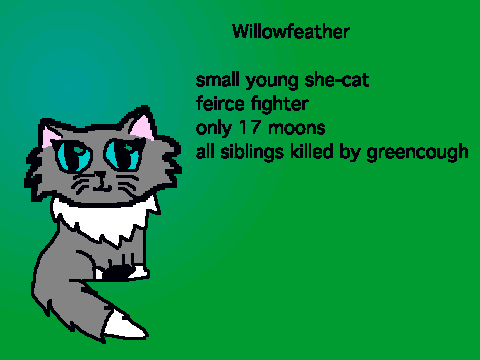 Willowfeather my warrior cat