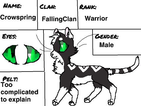  Crowspring of FallingClan