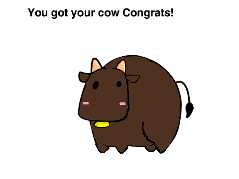 Cows!