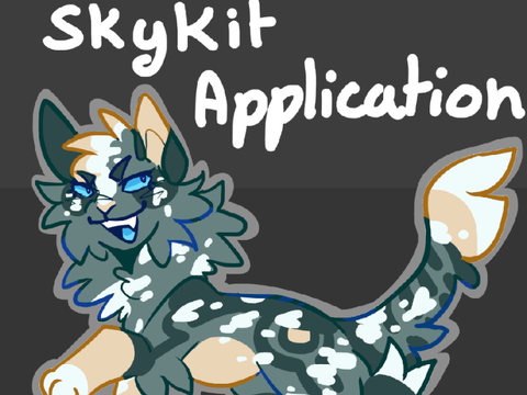 ☁︎·˚ ̗̀➛ ❝ Take to the Sky ❞ ━  A Skykit application ☁︎·˚ ̗̀➛