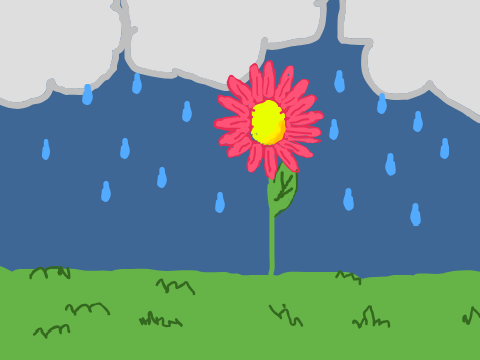  when the rain falls ☔ 