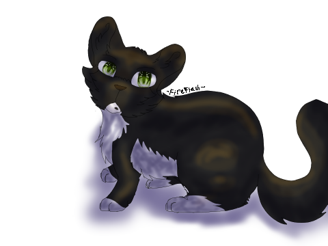 SnowStorm Redraw