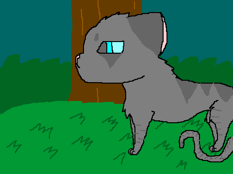 Jay Feather The Medicine Cat 