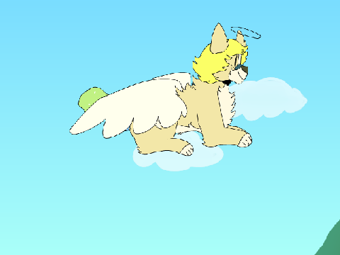 fly!!!!!!