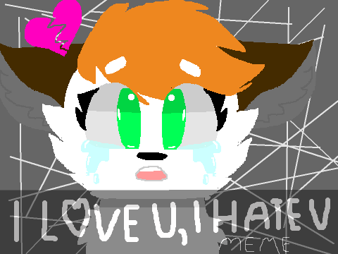 I hate you, I love you ~MEME~