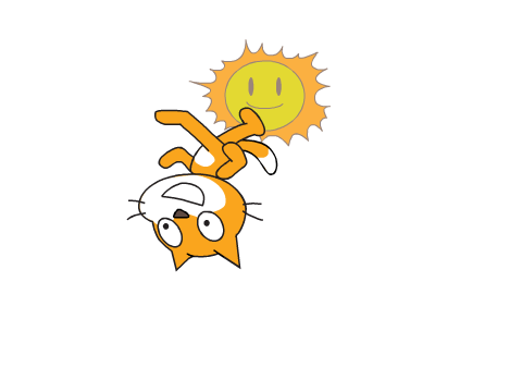 on the sun