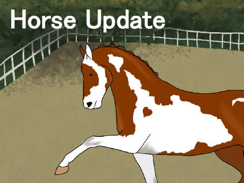 Horse Update - Working With Lots of Horses