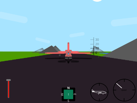 Flying Simulator 3D!