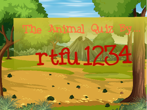 Animal Quiz
