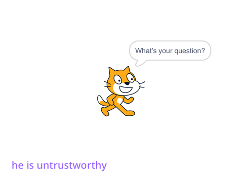 magic 8-ball (cat) question answerer