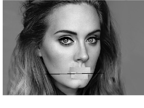 The Best 2016 Song Mashup