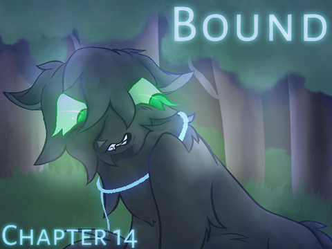 “ Bound ” Chapter 14. TN Entry