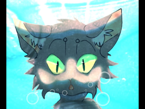 hi