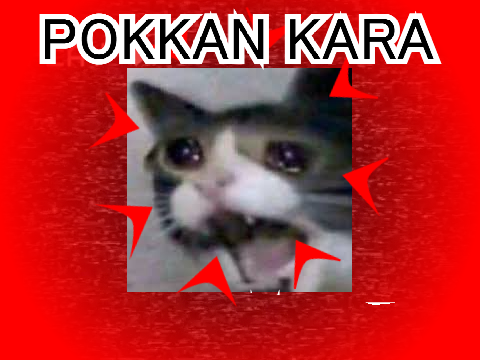 pokkan kara - meme template remix-2