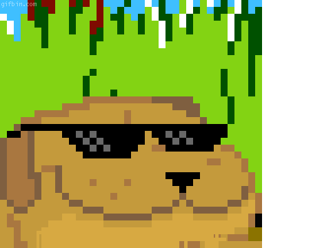 glasses