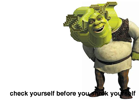 Shrek: the game
