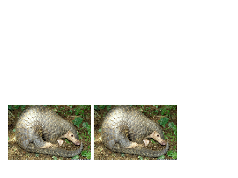 One of my very first pangolin projects