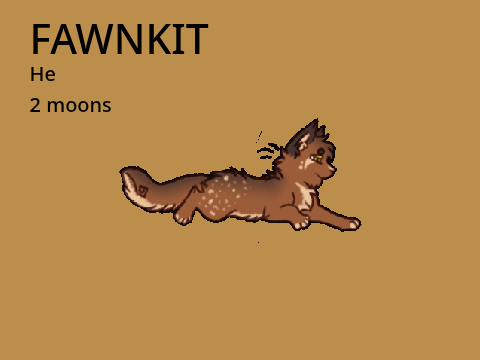 Fawnkit- open litter Bramblestar bloodline- EmberClan