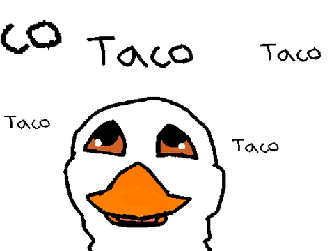It is raining tacos.