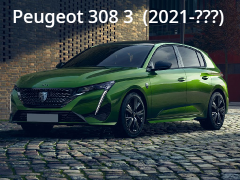 Evolution of Peugeot 300 