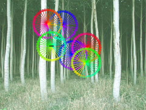 In the woods