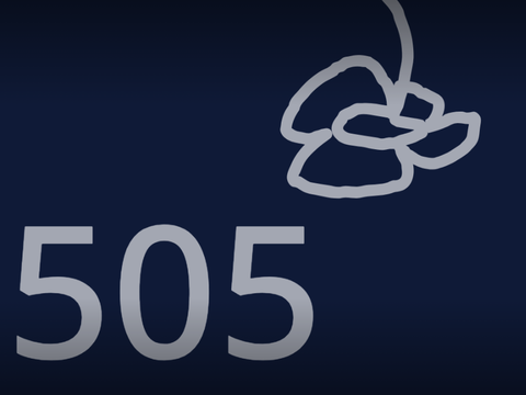 505