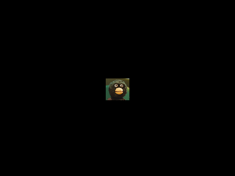 what goes on in my head