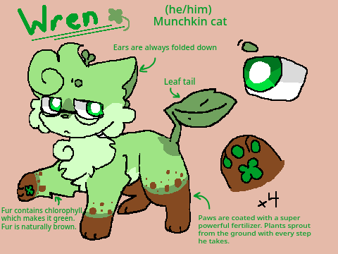 Wren // DTAE
