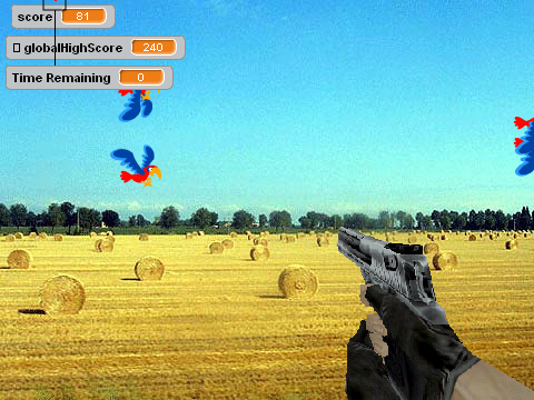 Shootin' da birdz