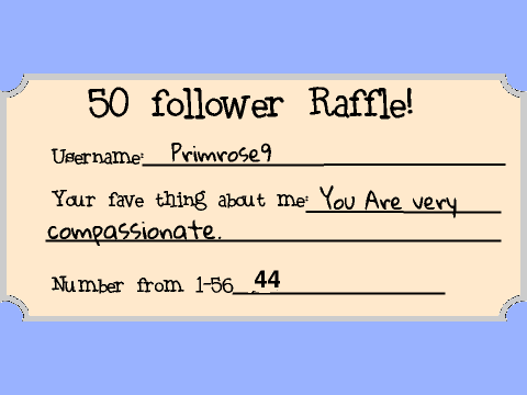 50 followers raffle 