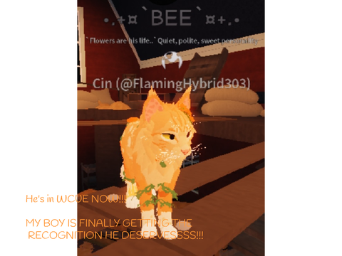 •.+¤`BUZZ`BEE (NOW BEE) IS IN WCUE!!! `¤+.•