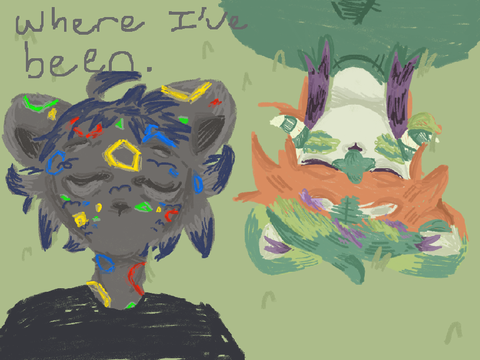 Where I’ve been. 