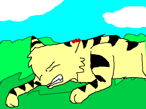 I'm A Star Firestar MAP OPEN Part 2