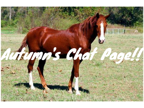 Chat Page