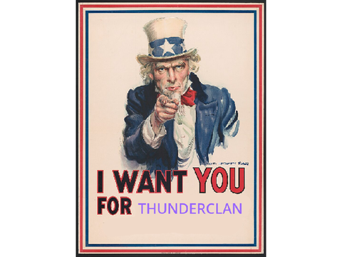 ⚡︎ thunderclan admin helper applications ˖ ࣪ 
