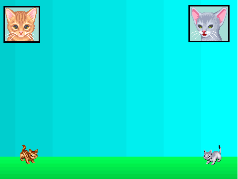 Shadowclan Vs Thunder clan